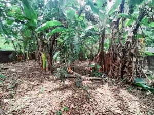 (AF899) 17.17 P Land for sale At Facing Chapel Road Nugegoda