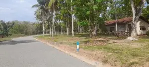 Land in Diwulapitiya