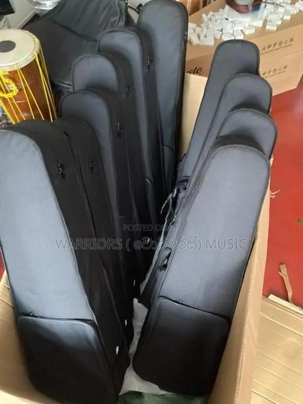 Brand New violin Full set 4/4 size