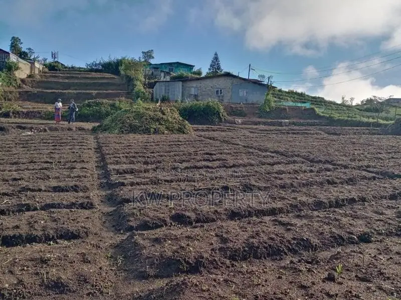 Land for Sale Nuwaraeliya