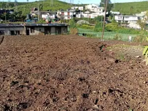 Land for Sale Nuwaraeliya
