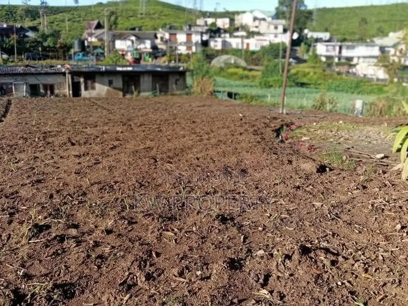 Land for Sale Nuwaraeliya