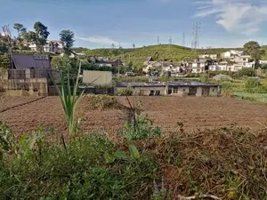Land for Sale Nuwaraeliya