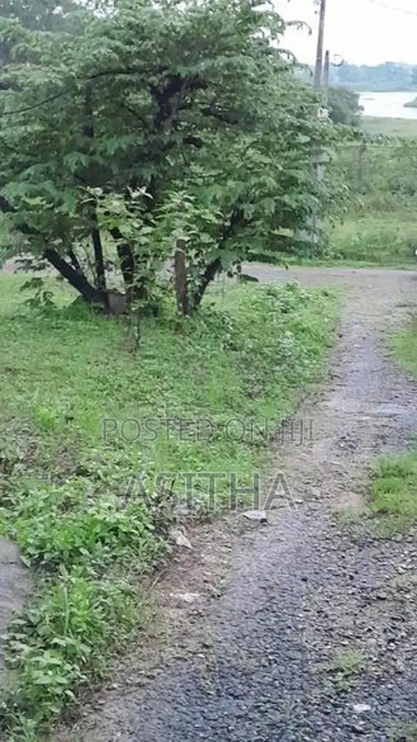 Lake View Land 7.2 Perch හයිවෙ අසල කඩුවෙල