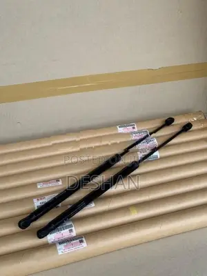 Suzuki Swift Rs Dicky Door Shocks