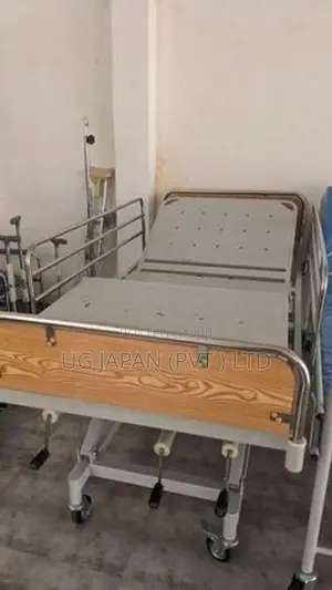 Three Function Manual Bed With Mattress