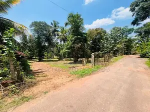 Land for Sale in Dankotuwa