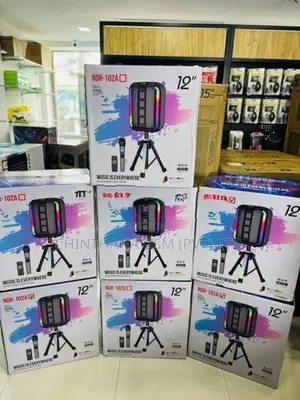 NDR 102A Bluetooth Karaoke Speaker