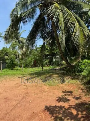 Super Land for Sale 1588 - Kotiyagoda