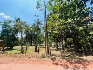 Land for Sale in Dankotuwa