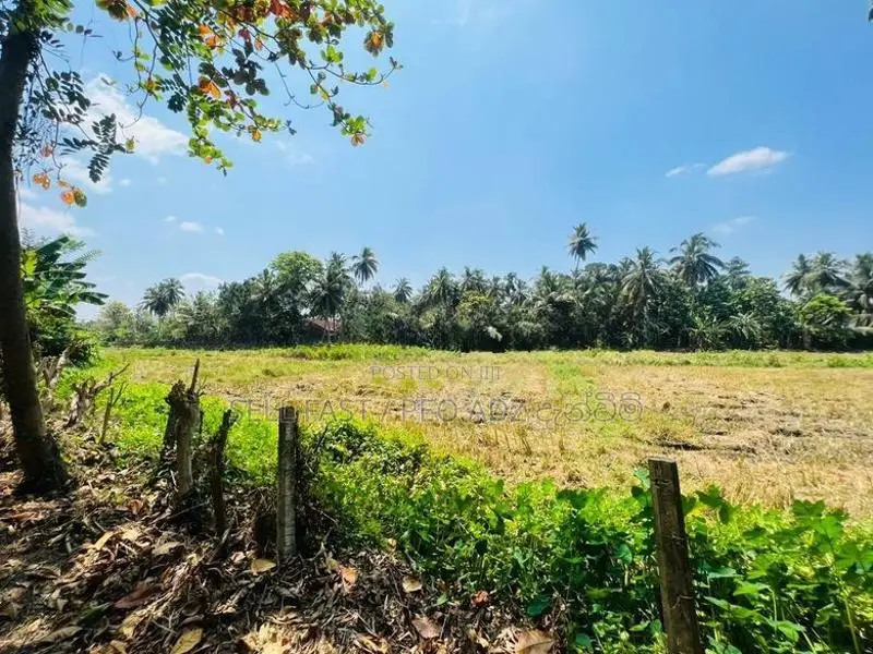 Land for Sale in Dankotuwa