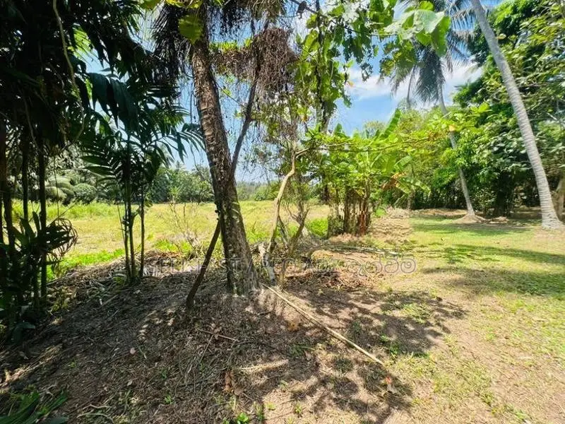 Land for Sale in Dankotuwa