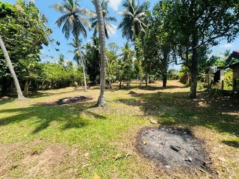 Land for Sale in Dankotuwa