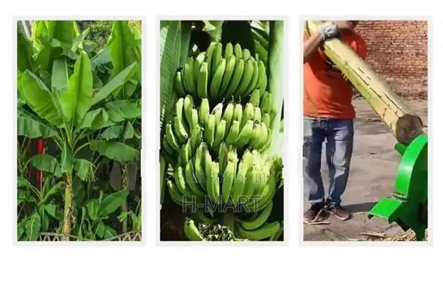 කෙසෙල් ගස් කැබලි කරන යන්ත්‍රය ( Banana Tree Shredder )