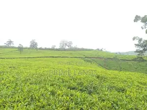 Urban Hills Nuwara Eliya Road Land