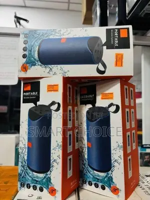 V-113 Bluetooth speaker
