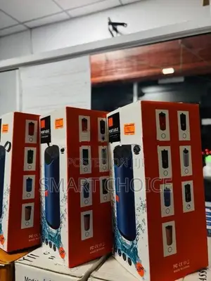 V-113 Bluetooth speaker