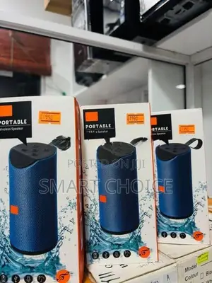 V-113 Bluetooth speaker