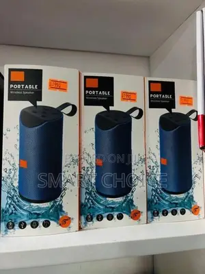 V-113 Bluetooth speaker