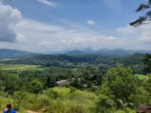 20P Bare Land for Sale Mahakandawatta, Kandy (SL 14519)