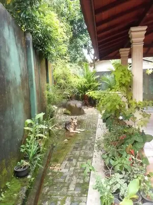 House for Sale in Piliyandala