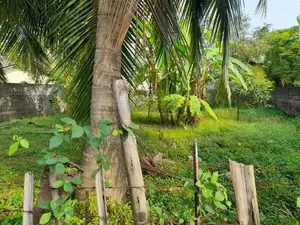 Land for Sale in Rathmalana
