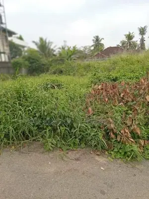 Land for Sale in Pannipitiya