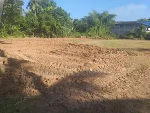 230P Bare Land for Sale in Biyagama Road, Mabima | SL13588