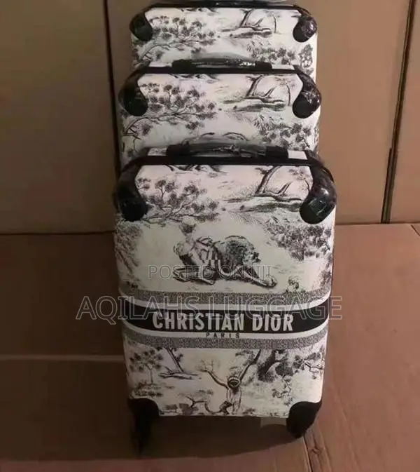 Pp Luggage Bags Christian Dior