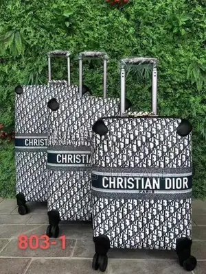 Pp Luggage Bags Christian Dior