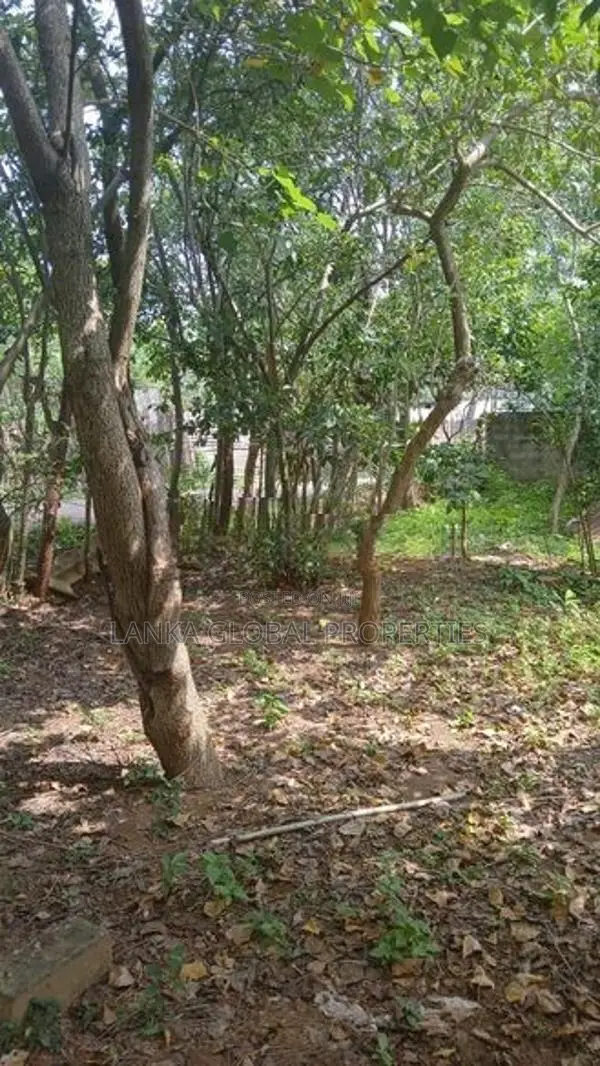 Land with House for Sale in Urumpirai உரும்பிராய்