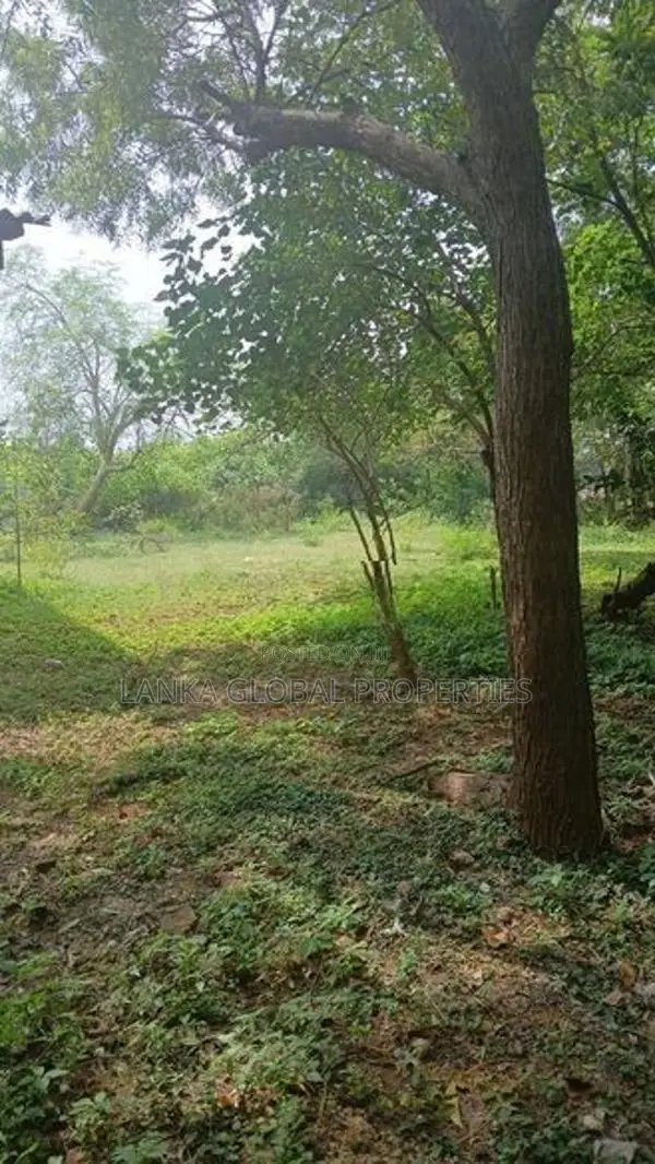 Land with House for Sale in Urumpirai உரும்பிராய்