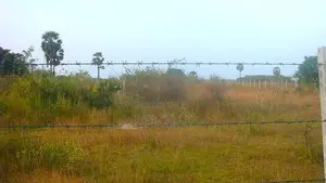 Beachfront Land for Sale in Passikudah