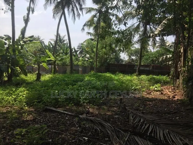 Sale Panadura Rectangular Bare Land (S128)