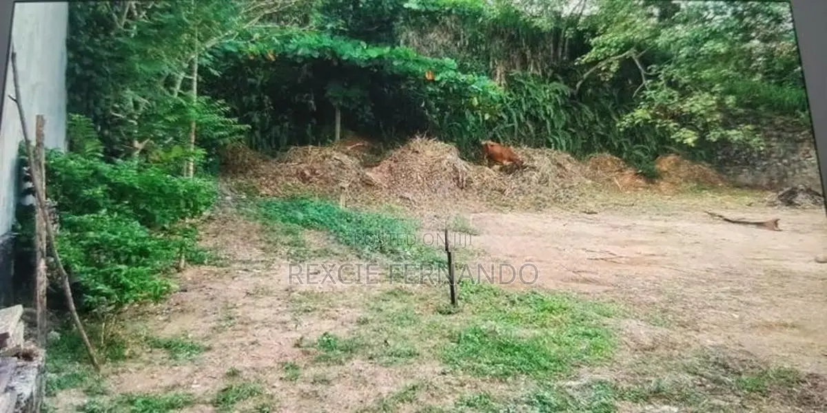 Land for Sale Thalawathugoda