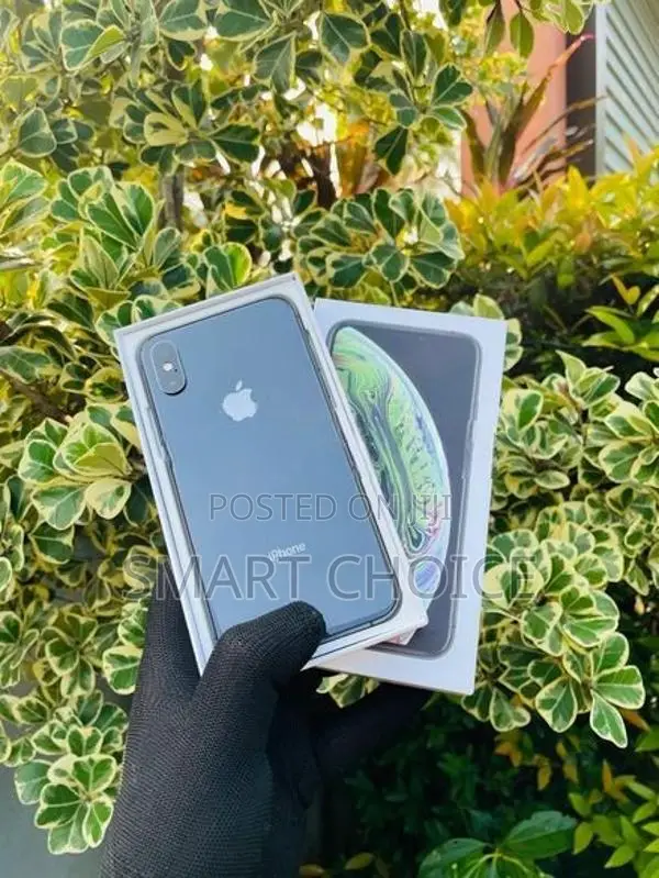 Apple iPhone XS 256GB. (Used)