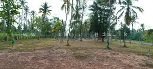 Land in Diwulapitiya