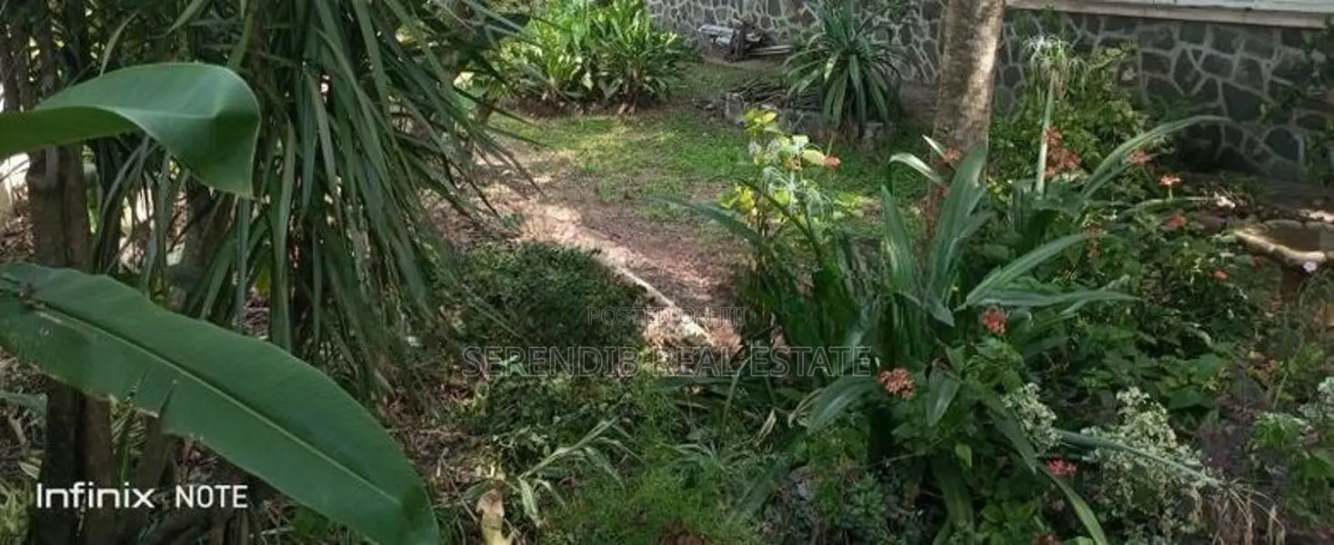 56 Perches Land Sale in Mount Lavinia