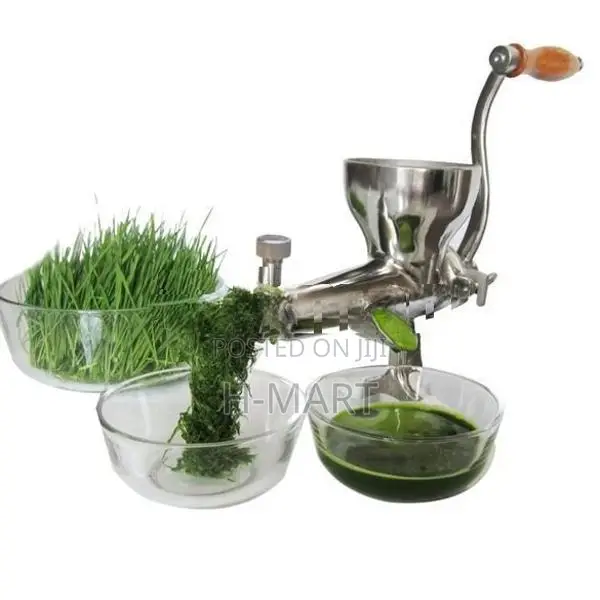 fruits vegetables, leaf juice extractor machine