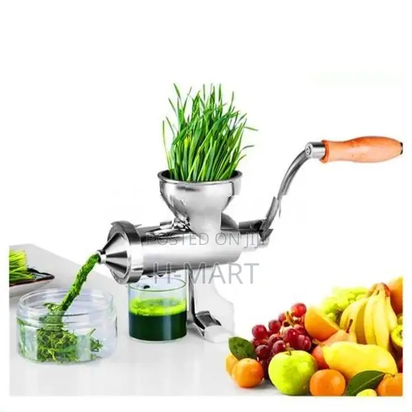 fruits vegetables, leaf juice extractor machine