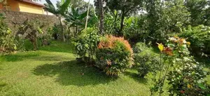 Land for Sale in Thalawathugoda Kalalgoda Preethimawatha