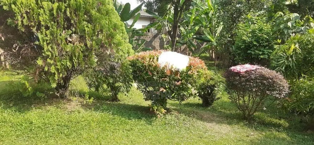 Land for Sale in Thalawathugoda Kalalgoda Preethimawatha
