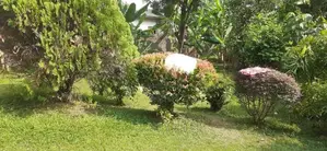 Land for Sale in Thalawathugoda Kalalgoda Preethimawatha