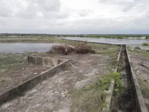 Puttalam : 10 Acres Commercial Salt Land for Sale at Madurankuliya