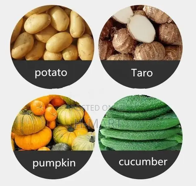 slicer shredder machine vegetables fruits turmeric