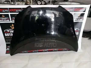 Nissan Leaf Aezo Bonnet