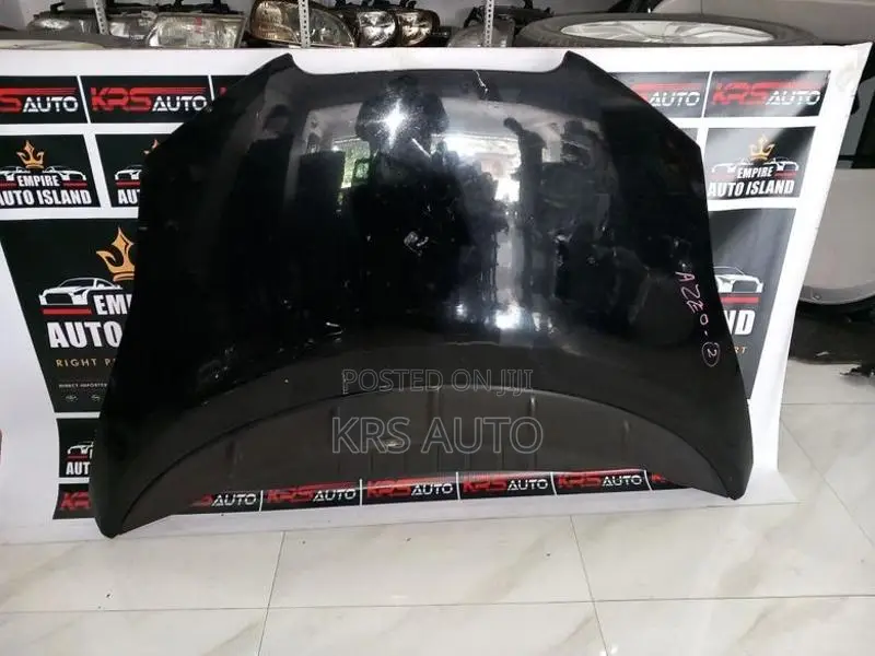 Nissan Leaf Aezo Bonnet