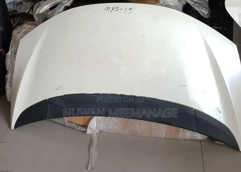 Honda GP5 Fender Door Bonnet Dicky