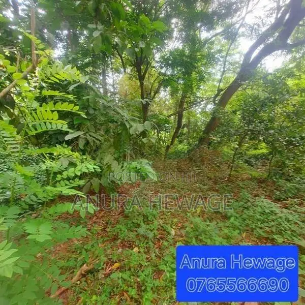 Land for Sale Athurugiriya, MDH Jayawardena Road ( ID : ATHU017 )