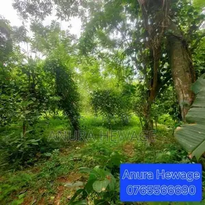 Land for Sale Athurugiriya, MDH Jayawardena Road ( ID : ATHU017 )
